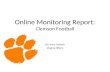 Online Monitoring Report 2