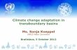 Climate Change Adaptation in Transboundary Basins by Sonja Koeppel, UNECE Water Convention