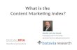 What is the Content Marketing Index?