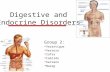 Digestive and Endocrine Disorders Report