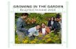 Growing in the Garden by Bettina Harden MBE