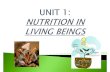 2º ESO UNIT 1 LIVING BEINGS NUTRITION