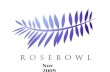 Rosebowl Nov 09