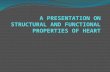 A presentation on structural and functional properties of heart