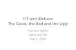 FIT and JBehave - Good, Bad and Ugly