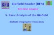 BioField Reader On-line Course 5. Basic Analysis of the Biofield