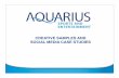 Aquarius Sports and Entertainment Creative and Social Media