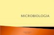 Microbiologia - Bacterias