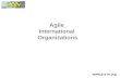 Agile international organisations