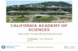 California academy of Science: Case study