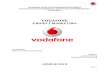 Vodafone - Studiu de marketing.docx