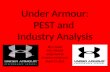 Assignment%20#1 Under Armour Pest Industry Analysis