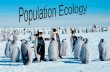 Population ecology intro