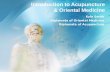 Acupuncture   introduction - mmac