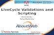 LiveCycle Scripting & Validations