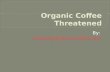 Organic Coffee Threatened