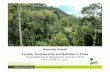 Forests, Food Security and Nutrition in Africa