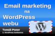Email marketing na WordPress webu