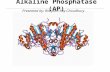 Alkaline phosphatase Structure and biophysics