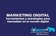Digital Training (Social Media)