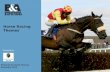 Horse Racing Ireland    Advertising Themes
