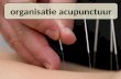 Organisatie Acupunctuur