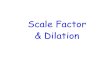 HSA Prep- Scale Factor M-3