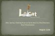 New business idea : LoCat