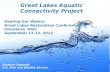 Aquatic Connectivity: Benefitting Streams and Communities-Cogswell, 2012