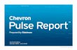 Chevron Pulse Report: 2Q 2010 Edition - The State of the Online Energy Conversation