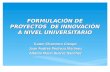 Formulacion de Proyectos  de Innovacion a Nivel Universitario