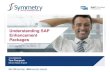 Understanding SAP Enhancement Packages