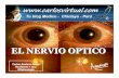 Nervio Optico  Fisiologia