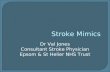• Stroke Mimics - Val Jones, St Helier Hospital