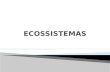 Ecossistemas E Biomas