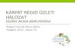 A Kárpát Régió Üzleti Hálózat, a Hálózat eszéki irodájának bemutatása - Palizs Tóth Hajnalka