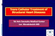 Lev Mendelevich MD — Trans Catheter Treatment of Structural Heart Diseases