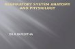 respiratory system anatomy and physiology by Dr.niveditha