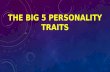 Big 5 Personality Traits