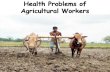 Health problems of agricultural workers