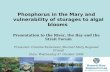 Phosphorus in the Mary and vulnerability of storages to