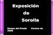 Exposicion De Sorolla