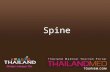 Thailand Medical Tourism_Spine