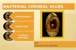 Bacterial corneal ulcer (Etilogy, pathogenesis, pathology & clinical features)