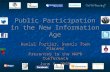 Public participation in the electronic age
