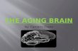 The aging brain(3)