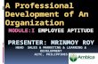 Professional development of an organization