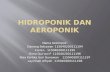 Hidroponik dan aeroponik