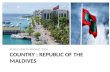 Maldives p.h.project favorites