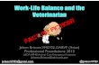 Work life balance prof foundations 2013 slides briscoe